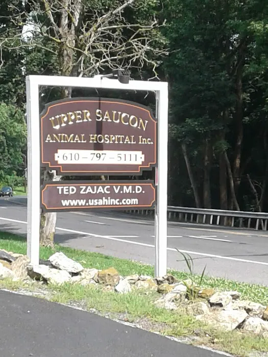 Upper Saucon Animal Hospital Picture 4