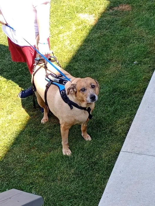 Valley Central Veterinary Referral and Emergency Center Picture 7