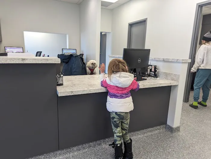 HanoverView Animal Hospital Picture 4