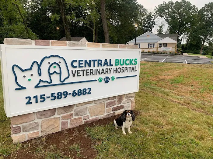 Central Bucks Veterinary Hospital Picture 7