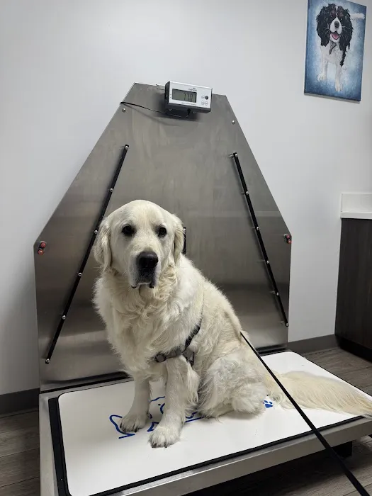 Central Bucks Veterinary Hospital Picture 3