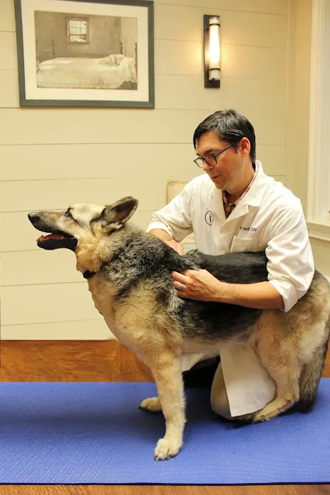 Doylestown Veterinary Hospital & Holistic Pet Care Picture 5