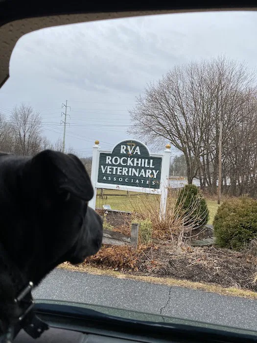 Rockhill Veterinary Associates Picture 6