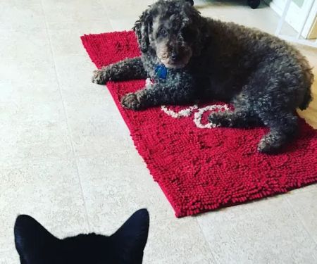 Circle of Life Veterinary Clinic