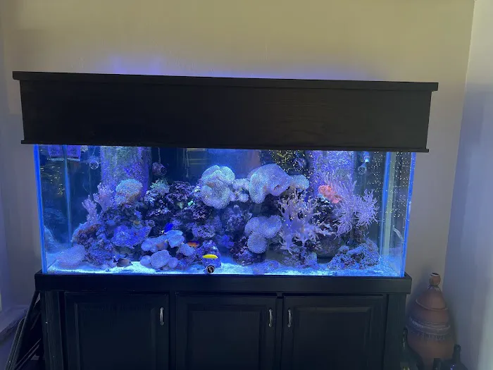 Aquarium- Tropical Fish & Supply, Inc Picture 5
