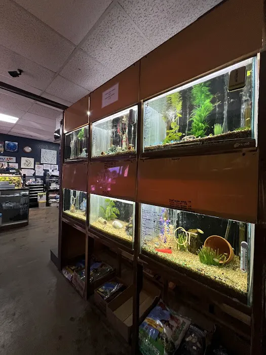Aquarium- Tropical Fish & Supply, Inc Picture 3