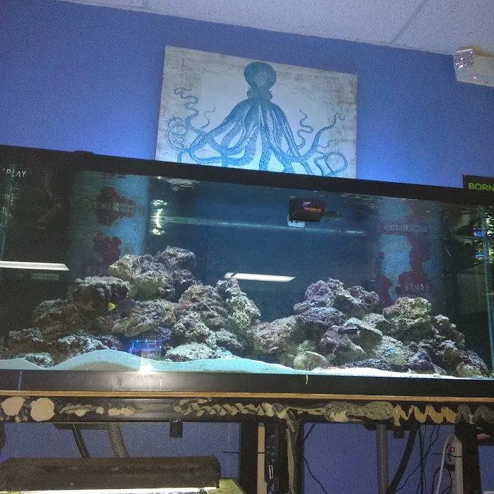 Aquarium- Tropical Fish & Supply, Inc Picture 8