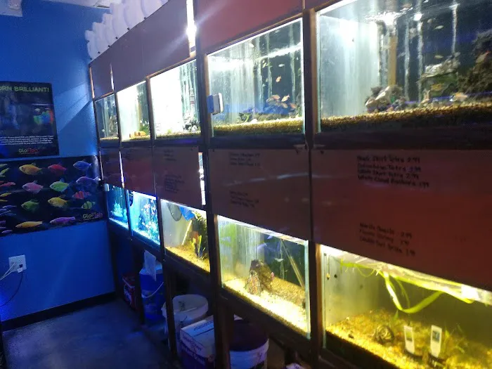 Aquarium- Tropical Fish & Supply, Inc Picture 6