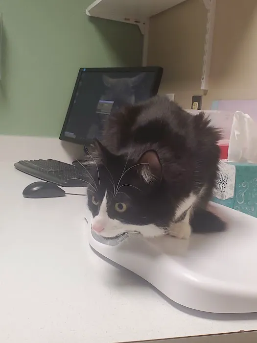 Indian Valley Animal Hospital Picture 7