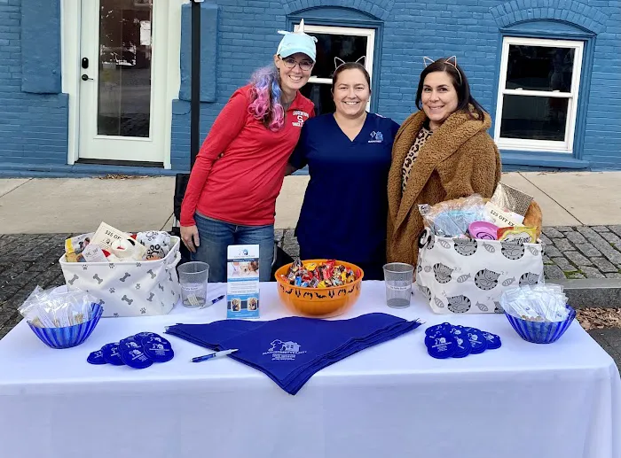 MainStreetVet.net Picture 7