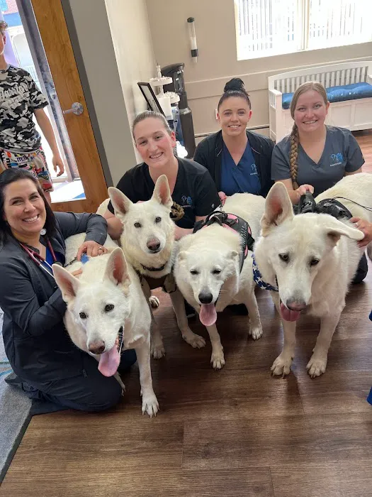 MainStreetVet.net Picture 6