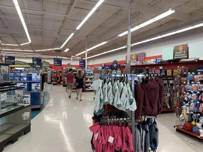 Petco Picture 3