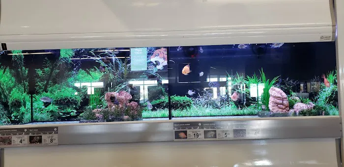 Petco Picture 5