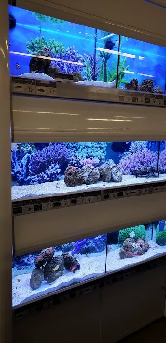 Petco Picture 10