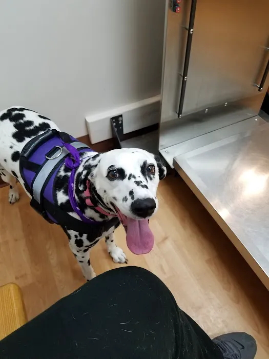 Telford Veterinary Hospital Picture 5