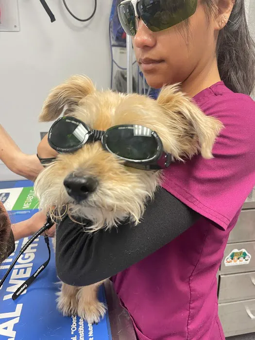 Telford Veterinary Hospital Picture 9