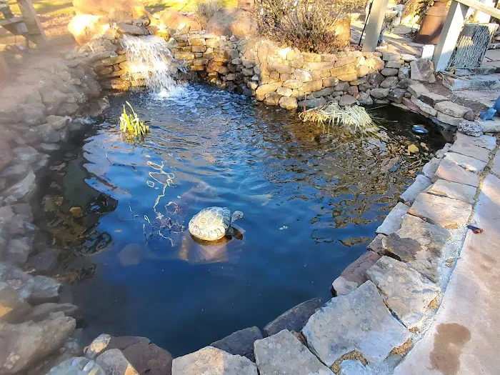 Crosstimber Koi of Edmond, LLC Picture 1