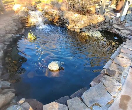 Crosstimber Koi of Edmond, LLC