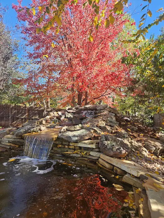 Crosstimber Koi of Edmond, LLC Picture 10