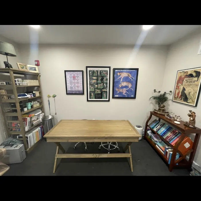 Dr. Karen Collins, VMD, LLC - Holistic Pet Healing - Souderton Picture 1