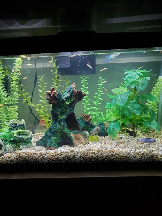 Pet Supplies Plus Edmond (Kickingbird Picture 5