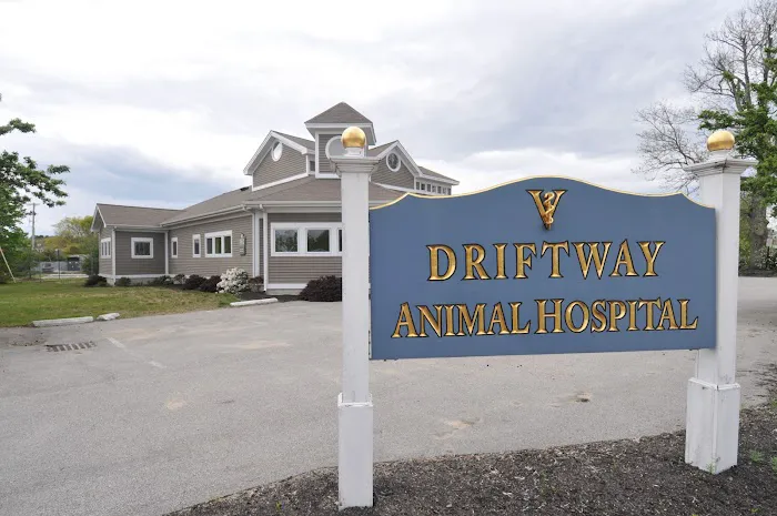 Driftway Animal Hospital Picture 3