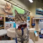 Petco