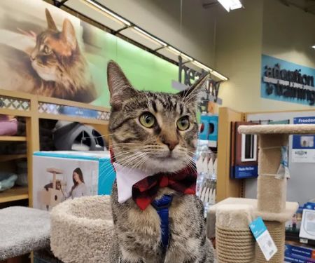 Petco