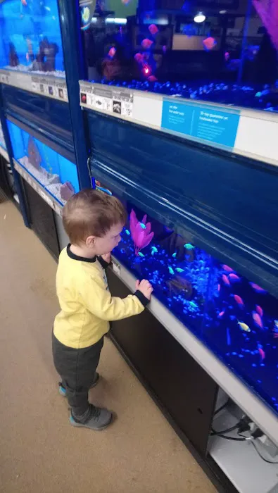 Petco Picture 3