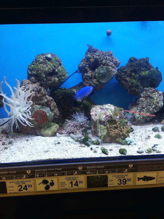 Petco Picture 2