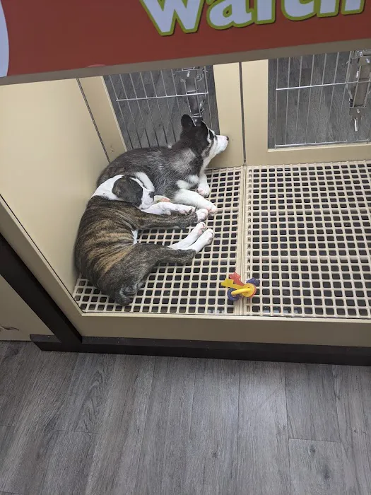 Petland Oklahoma City Picture 5