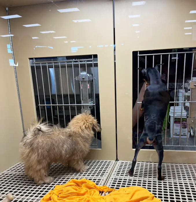 Petland Oklahoma City Picture 4
