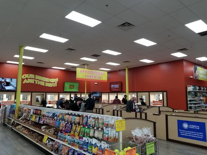 Petland Oklahoma City Picture 8