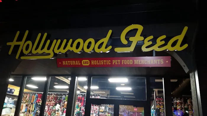 Hollywood Feed Picture 6