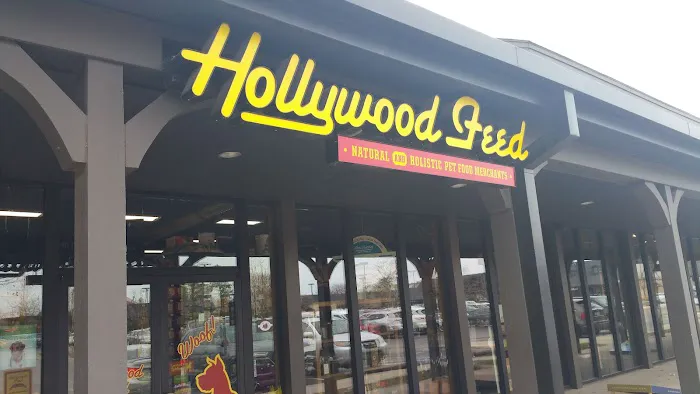Hollywood Feed Picture 2