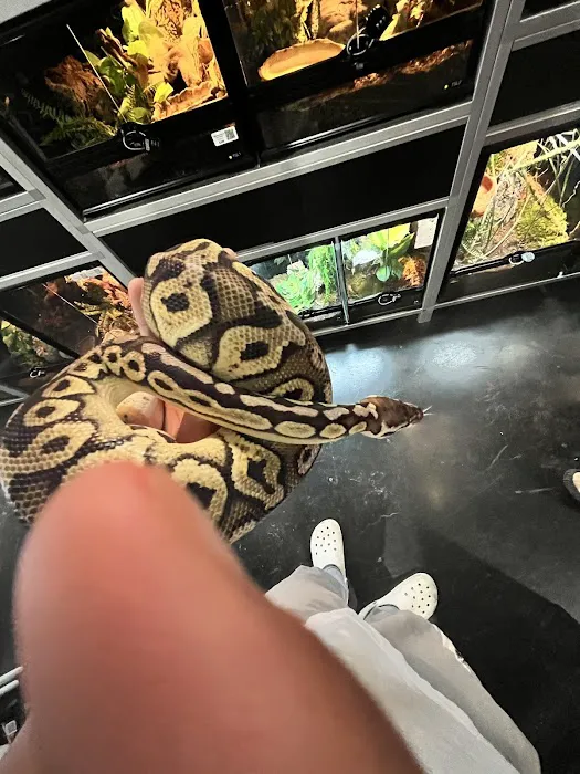 Exotic Pets OKC Picture 9