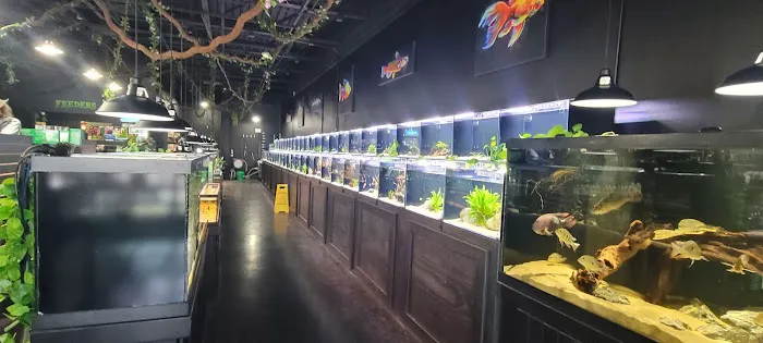 Exotic Pets OKC Picture 6
