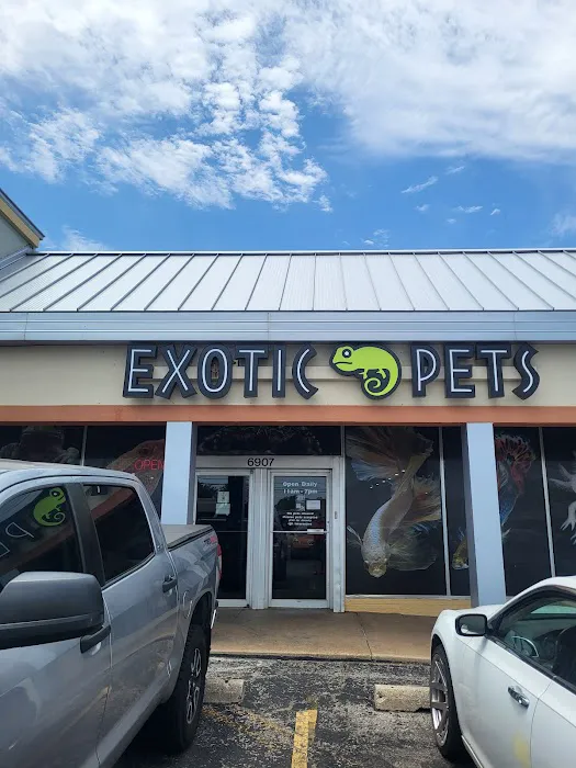 Exotic Pets OKC Picture 1