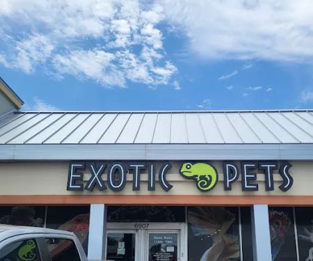 Exotic Pets OKC