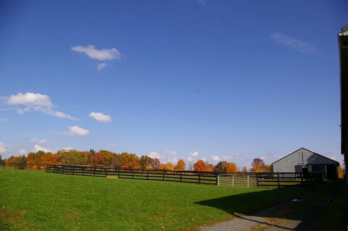 Equine Clinic At Oakencroft Picture 4