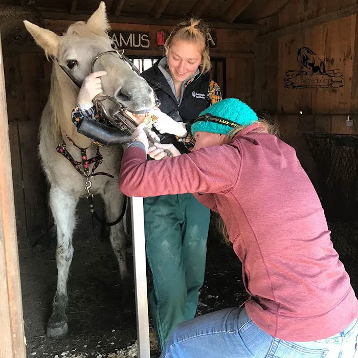 Equine Clinic At Oakencroft Picture 8