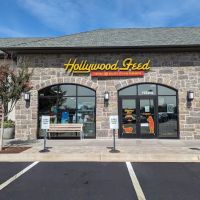 Hollywood Feed ico