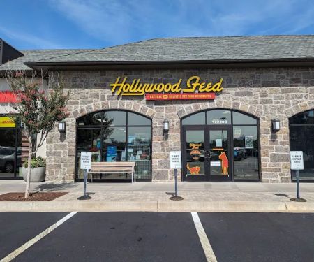 Hollywood Feed