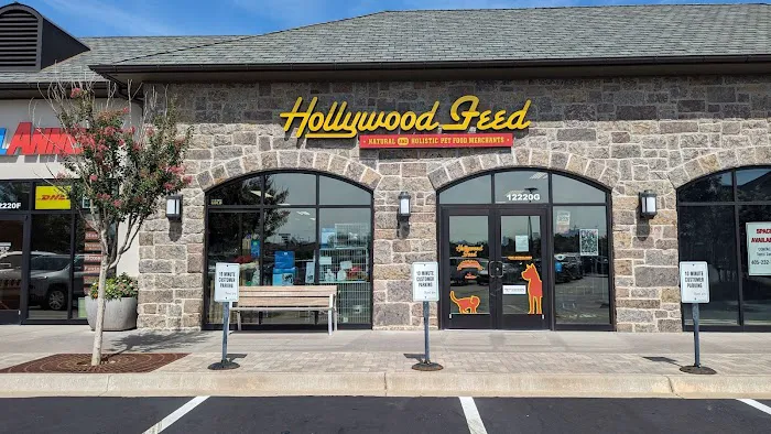 Hollywood Feed Picture 6