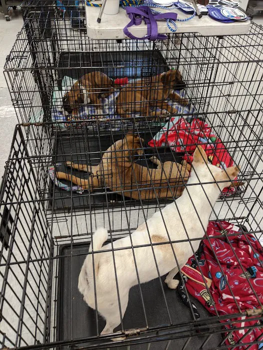 Petco Picture 8