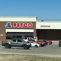 Petco ico