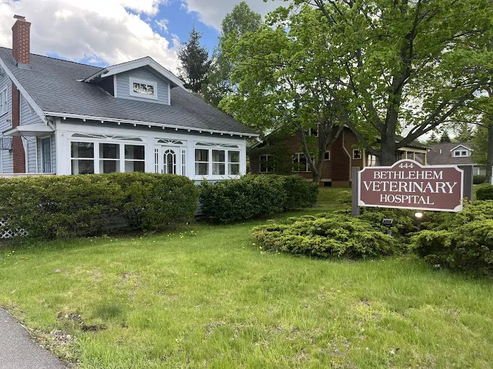 Bethlehem Veterinary Hospital Picture 4