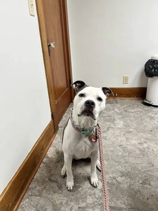 Bethlehem Veterinary Hospital Picture 10