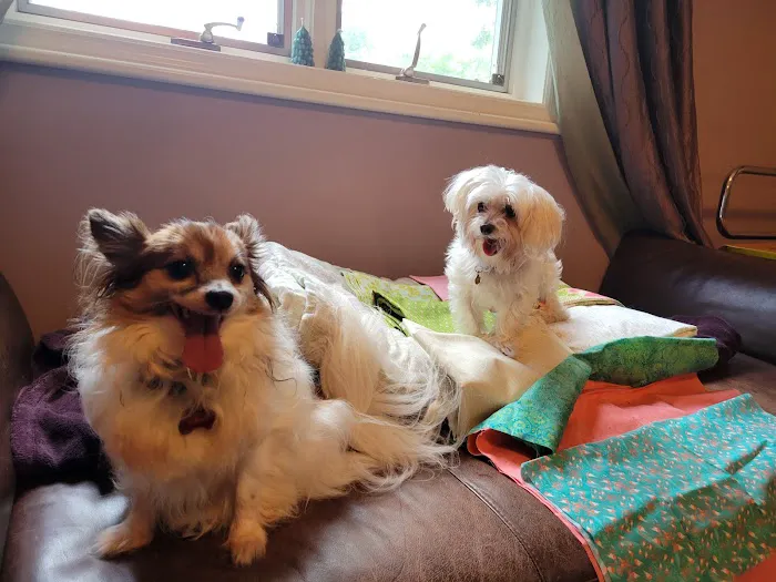 Bloomingrove Veterinary Hospital Picture 4