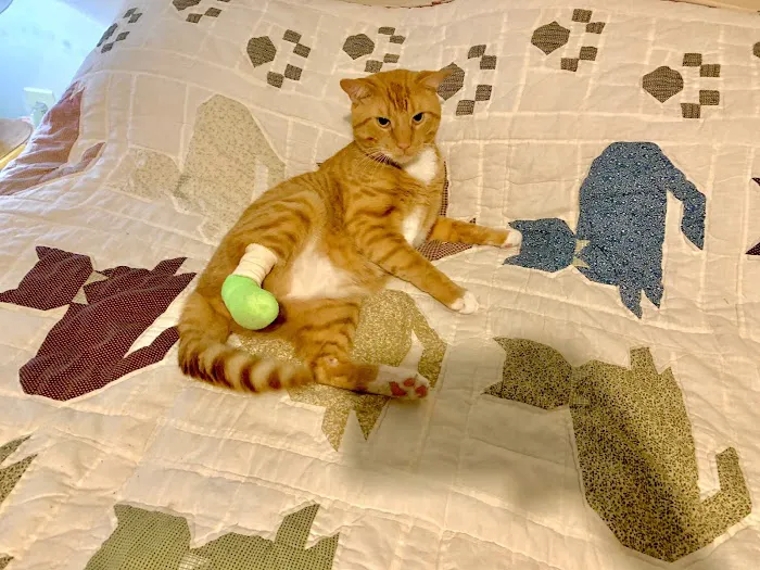 Bloomingrove Veterinary Hospital Picture 6